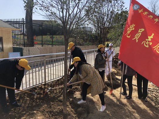 公司党员志愿服务队开展义务植树活动