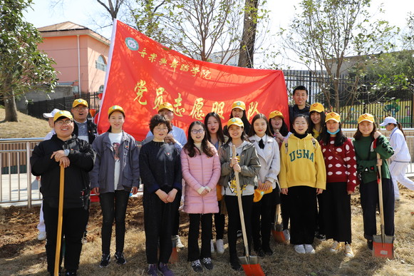 公司党员志愿服务队开展义务植树活动